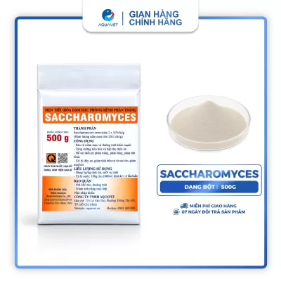 Men Tiêu Hóa Sacccharomyces Đậm Đặc